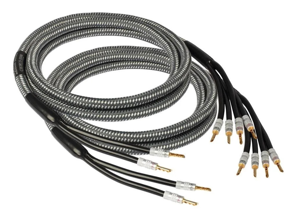 Goldkabel Edition Chorus Single to Bi-Wire Speaker-Cable with gold plated bananas 2 X 3.0 Meter