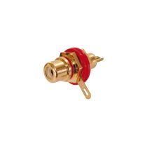 Dynavox RCA Jack for istallation, isolated Red