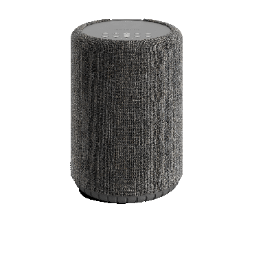 Audio Pro A10 MkII Wireless Multiroom-Speaker dark grey